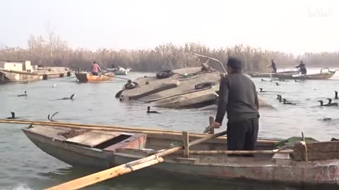 Fishing With Birds In China | Cormorant fishing