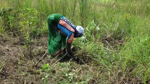 African Village Girl's Life__Village food__Breakfast