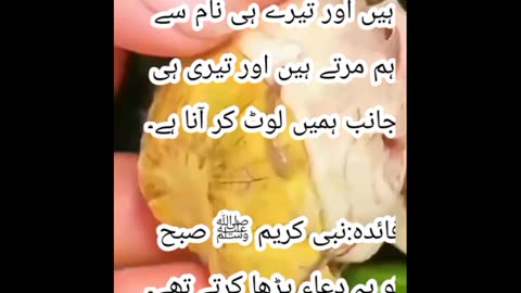 Hadees e Nabvi SAWW #quotes #islamic #dua #hadees #viralvideo #whatsappstatus