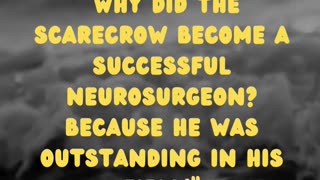 Neurosurgeon Scarecrow: An Outstanding Field of Expertise (Funny Story!)"