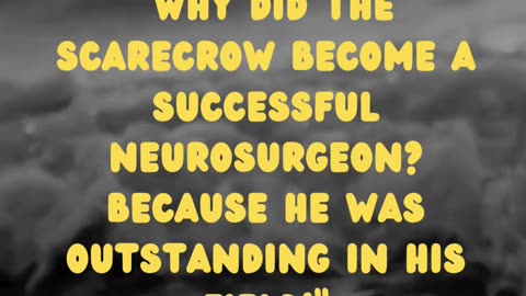 Neurosurgeon Scarecrow: An Outstanding Field of Expertise (Funny Story!)"