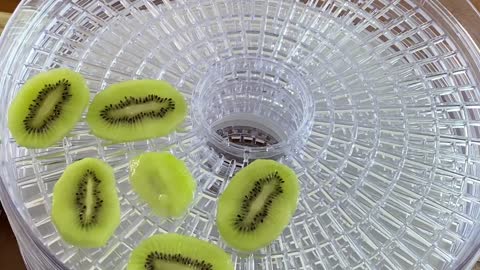 HOW TO DEHYDRATE KIWI FRUIT - How To Preserve Kiwi Fruit By Dehydrating / Dehydrated