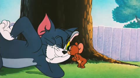 Funny Tom and Jerry cartoon videos, cartoon funny Video, kid's cartoon funny Video,