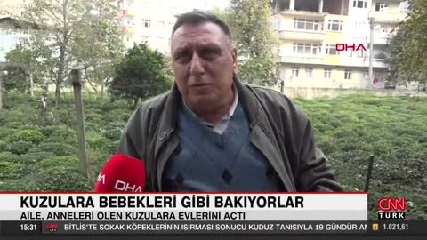 Rize'de bir aile anneleri ölen kuzulara bebekleri gibi bakıyor