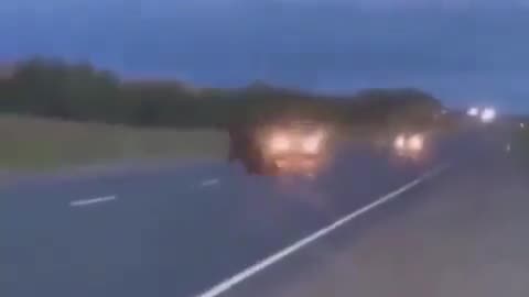 Car vs Moose