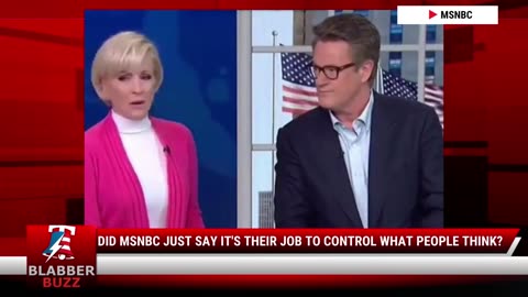 Did MSNBC Just Say It's Their Job To Control What People Think?