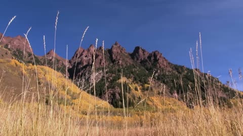 World of the Wild | Episode 5: The American Prairies | Free Documentary Nature