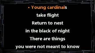 Alexisonfire • Young Cardinals (CC) [Karaoke Instrumental Lyrics]