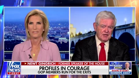 Newt Gingrich Says Florida GOP Rep 'Unleashed The Demons' After Booting McCarthy