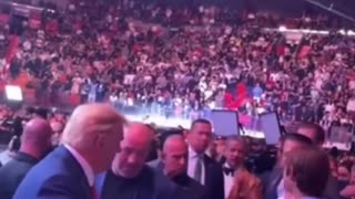 Crowd Erupts as Donald Trump sits in front row at UFC 287 with Mike Tyson, Dana White and Kid Rock