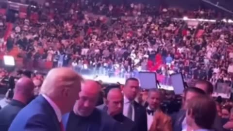 Crowd Erupts as Donald Trump sits in front row at UFC 287 with Mike Tyson, Dana White and Kid Rock