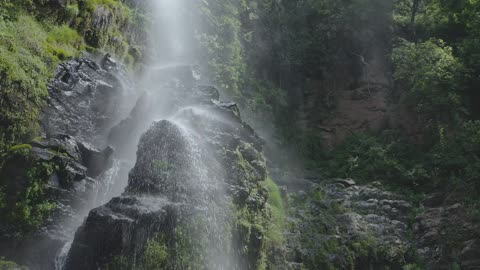 water fall in forest