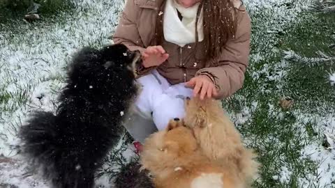 She plays with her dogs and it's snowing, it's a beautiful sight