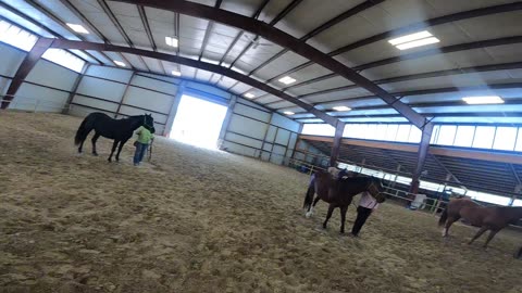 Farrah Horsemanship Clinic 2023 # 7