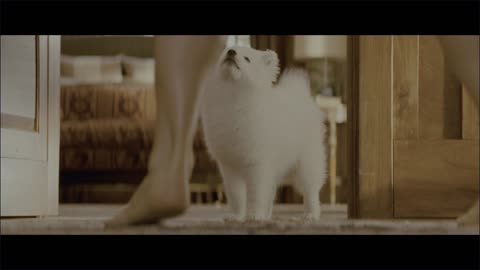 [Movie] The Proposal - Sandra Bullock bare soles
