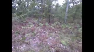 1800s Grave Stones - South Georgia 2013