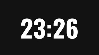 33 Minute Timer with Countdown