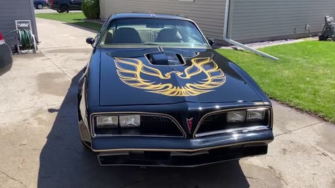 First Day with my 1977 Trans-Am !!!!