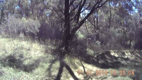 Lysterfield Hills Mountain Biking