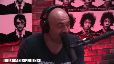 OLD SCHOOL Joe Rogan Experience WITH Esther Ku