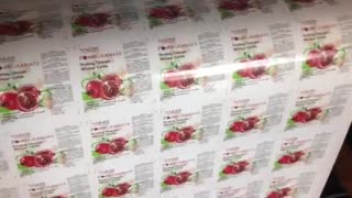 Gloss Label Printing