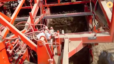 The Coolest Machinery Operation | Monster Machine Operating | Modern Agriculture Technology