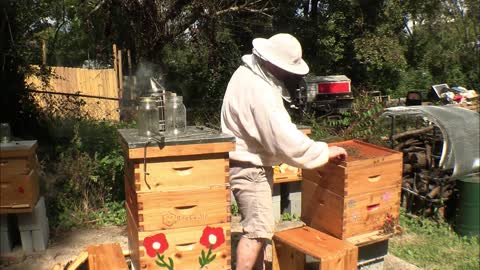 OCTOBER BEE HIVE INSPECTION OCT 2022