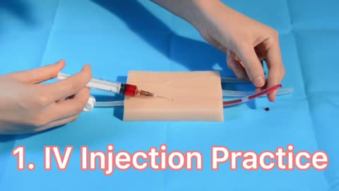 Realistic Medical Venipuncture IV Injection Practice Pad