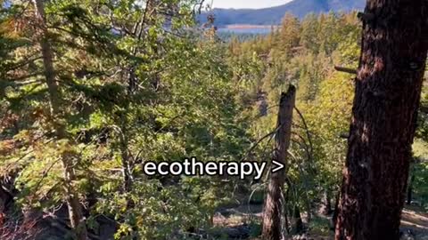 ecotherapy >