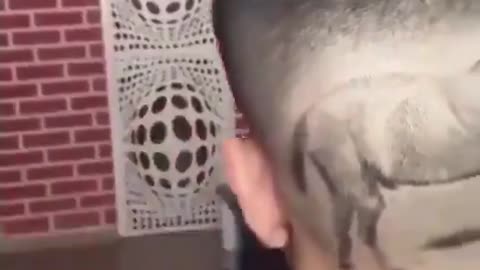 Get this barber a raise