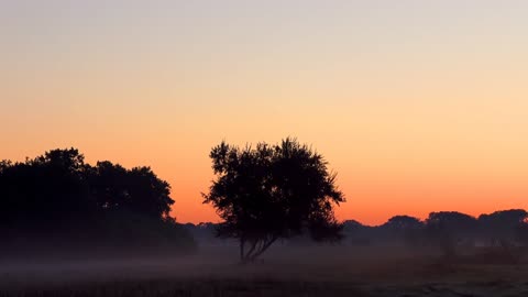 GOOD MORNING WINTER BEAUTIFUL WINTER 2022 Morning in the village. Sounds of nature in the village.