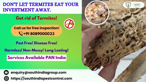 Termite Control Hyderabad