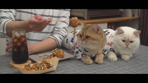 Takoyaki Recipe | Japanese Street Food | Viral