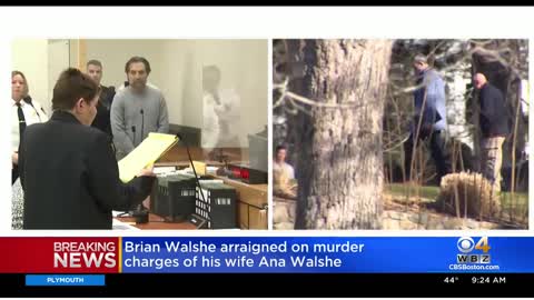 Gruesome details revealed in court as Brian Walshe charged with murdering wife Ana Walshe