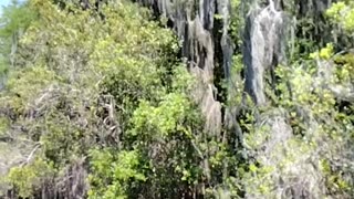 Suwannee Canal