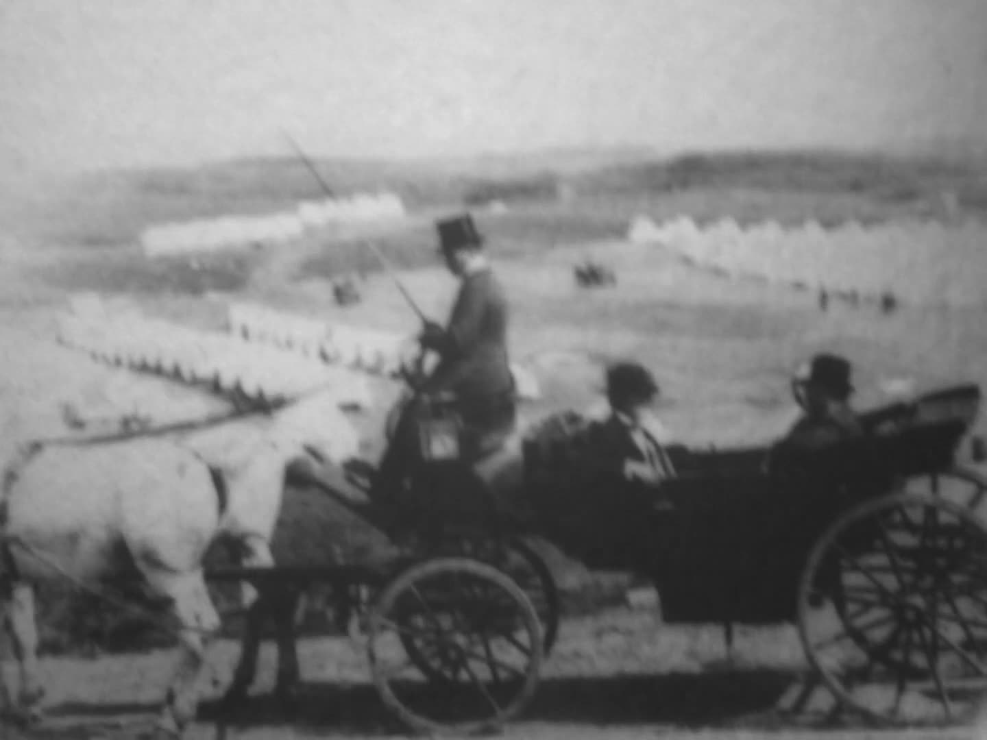 President McKinley's Inspection Of Camp Wikoff (1898 Original Black ...