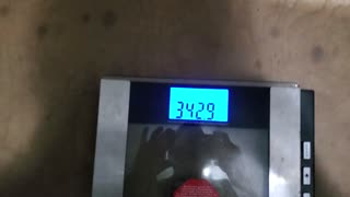 Weigh-In Apr 5, 2024