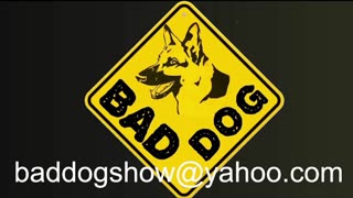BAD DOG Asbury Revival 2