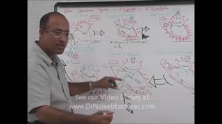 Cardiac Cycle | Cardiology | Systole & Diastole | Cardiovascular