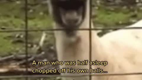 A man who was half asleep chopped off his own balls...