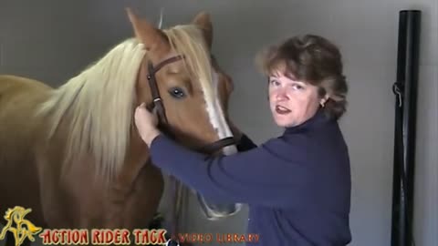 Natural Horse Care: Dr Cooks Bitless Bridles