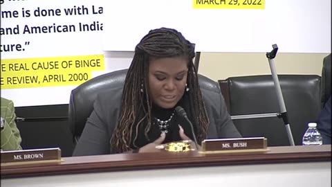 Cori Bush accuses witness of "white supremacist" views. His response SHUTS her up