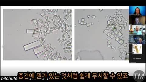 증거: C19 백신에서 NANOBOTS 조립 및 분해 – 라이브 비디오 – DR. 아나 미할체아 - 매트 테일러