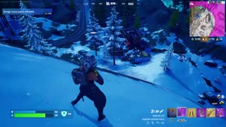 Fortnite-Dont Try this at Home