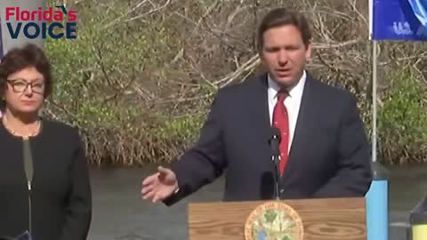 STILL COUNTING: DeSantis Blasts 'Pathetic' States Still Counting Votes