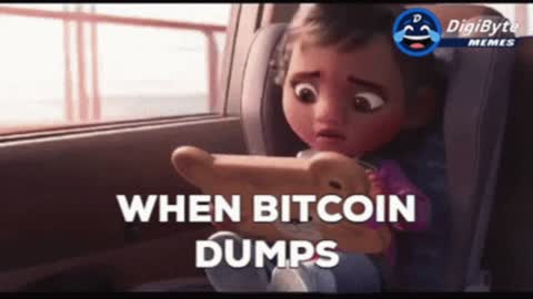 when bitcoin drops | buy the dip