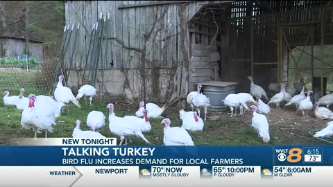 Bird flu drives business to East Tenn. turkey farmers