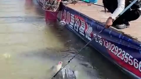 Best Asian fishing
