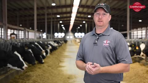 CowManager Specialist Shares Experience