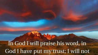 Nighttime Prayer of Praise #youtubeshorts #grace #jesus #mercy #faith #fyp #bless #trust #love #joy